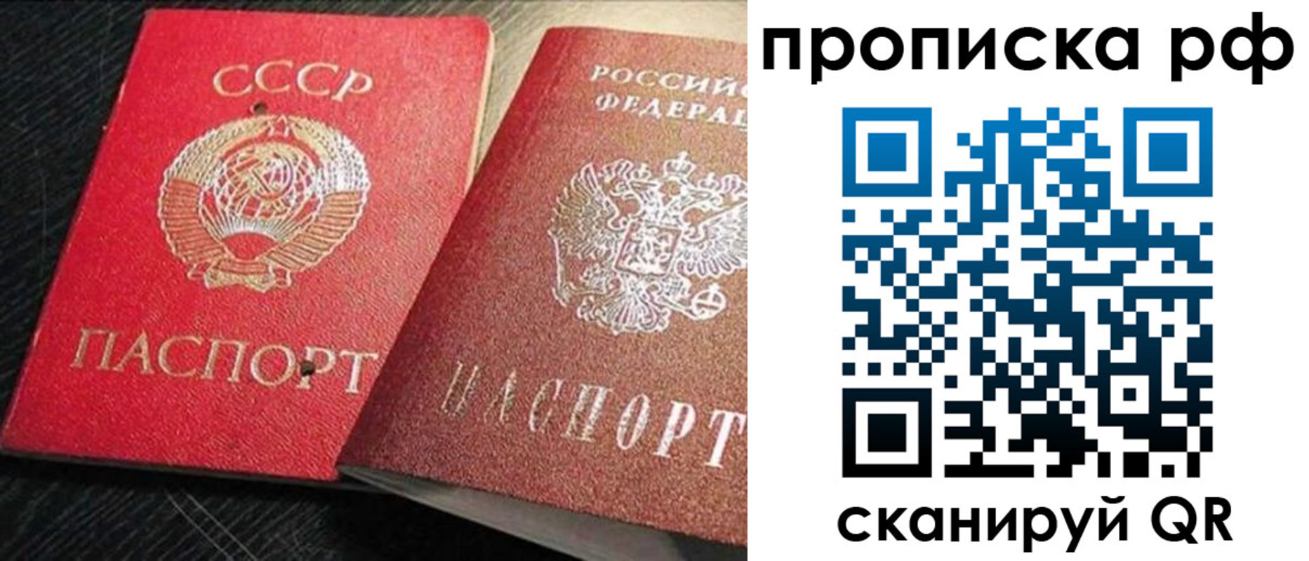 где прописаться в Балашихе